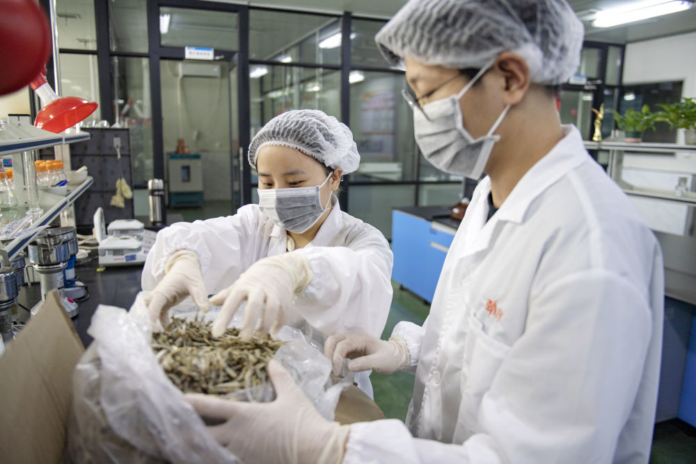 米乐M6 米乐贸易规模有突破 促稳提质有支撑——透视我国外贸进出口半年报(图2)