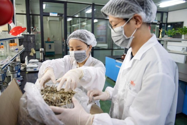 米乐 M6米乐透视我国外贸进出口半年报：贸易规模有突破 促稳提质有支撑(图2)