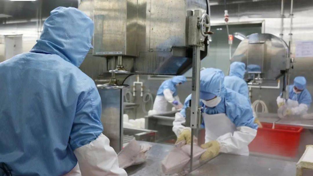 米乐M6 米乐再添7家！2023年农业国际贸易高质量发展基地认定名单公布(图6)