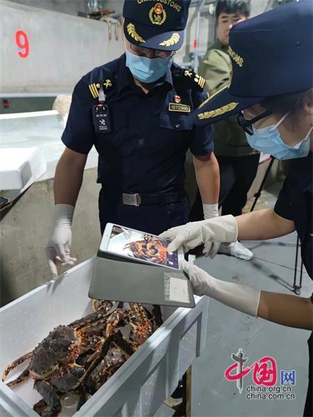 米乐M6 米乐【我在国门一线】驻守中俄贸易要道 珲春海关“一站式”服务让货物“通得快、管得住”(图3)