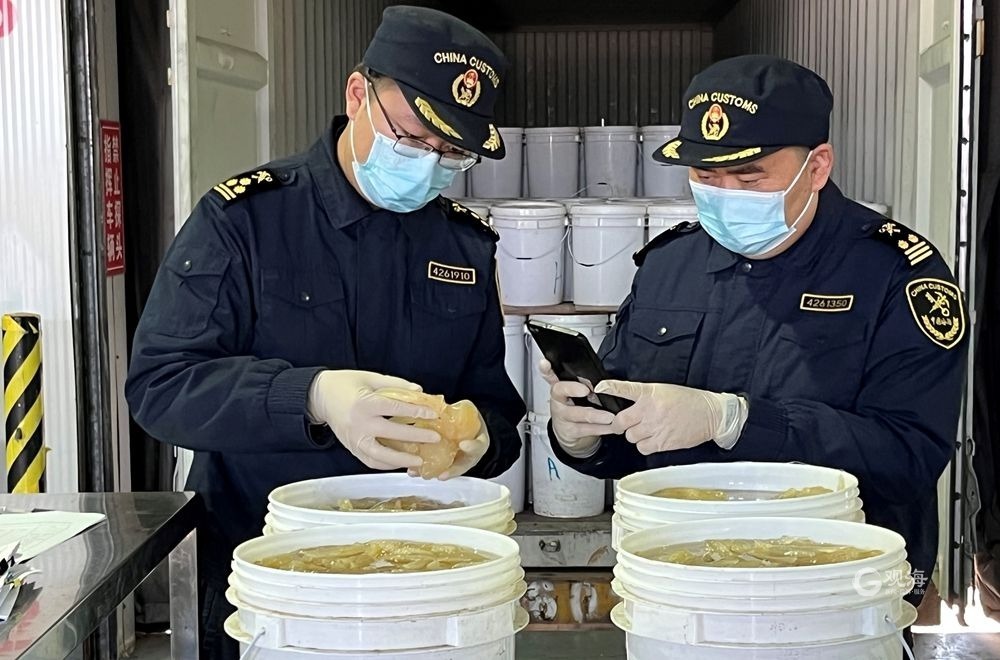 前7个月米乐 M6米乐青岛对金砖国家进出口7082亿元同比增