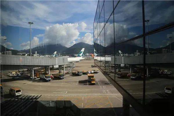 报关流程知识点最全总结米乐 M6米乐(图4)