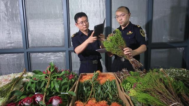 米乐 M6米乐今年前7个月上海口岸对其他金砖国家进出口值超4