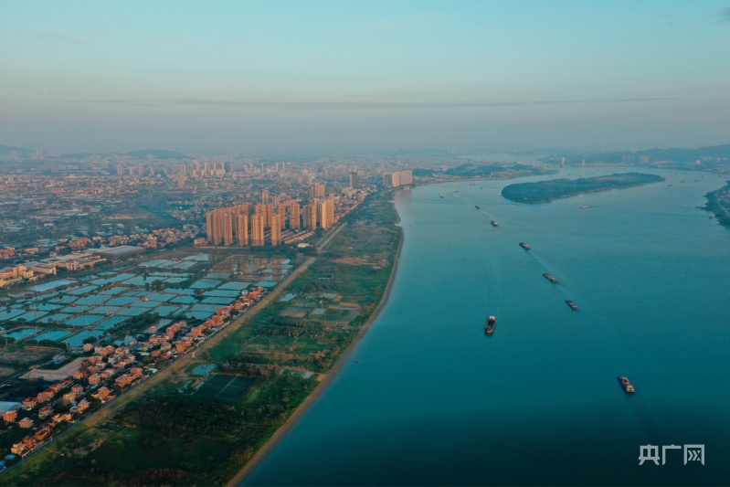 广东海关出台推动外米乐M6 米乐贸稳规模优结构20条措施(图3)