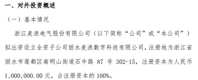 米乐 M6米乐麦浪电气拟投资100万设立全资子公司丽水麦浪数