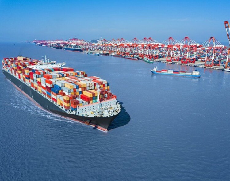 米乐 M6米乐货物进出口报关管理(图3)