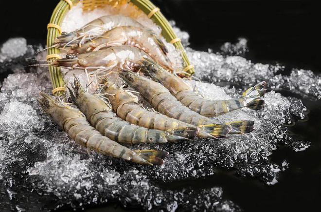 注意！九米乐M6 米乐月外贸新规来了涉及国内外政策、进出口禁令等！(图2)