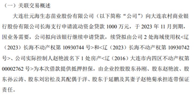 壮元海米乐 M6米乐拟向银行申请1000万贷款 控股股东孙刚