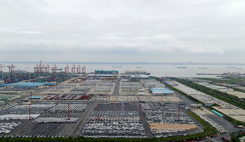 天空之米乐 M6米乐眼瞰上海自贸区(图5)