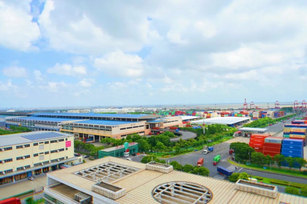 自贸区十周年｜保税米乐 M6米乐区域：在“离世界最近的地方”面向全球、运作全球、配置(图4)