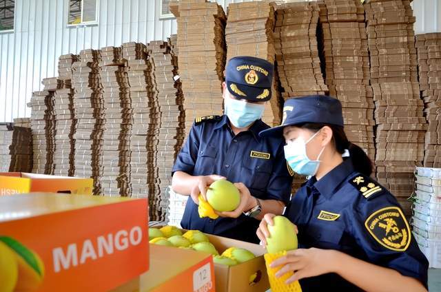 米乐 M6米乐前8月外贸进出口：四川60229亿元 成都48297亿元(图5)