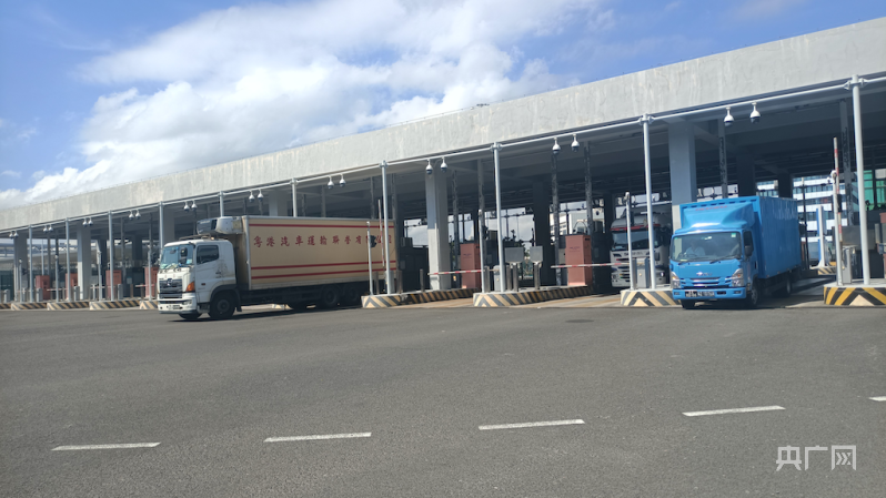 万桥飞架看奋斗｜港珠澳大桥：经贸新通道串联湾米乐M6 米乐区连接世界(图4)