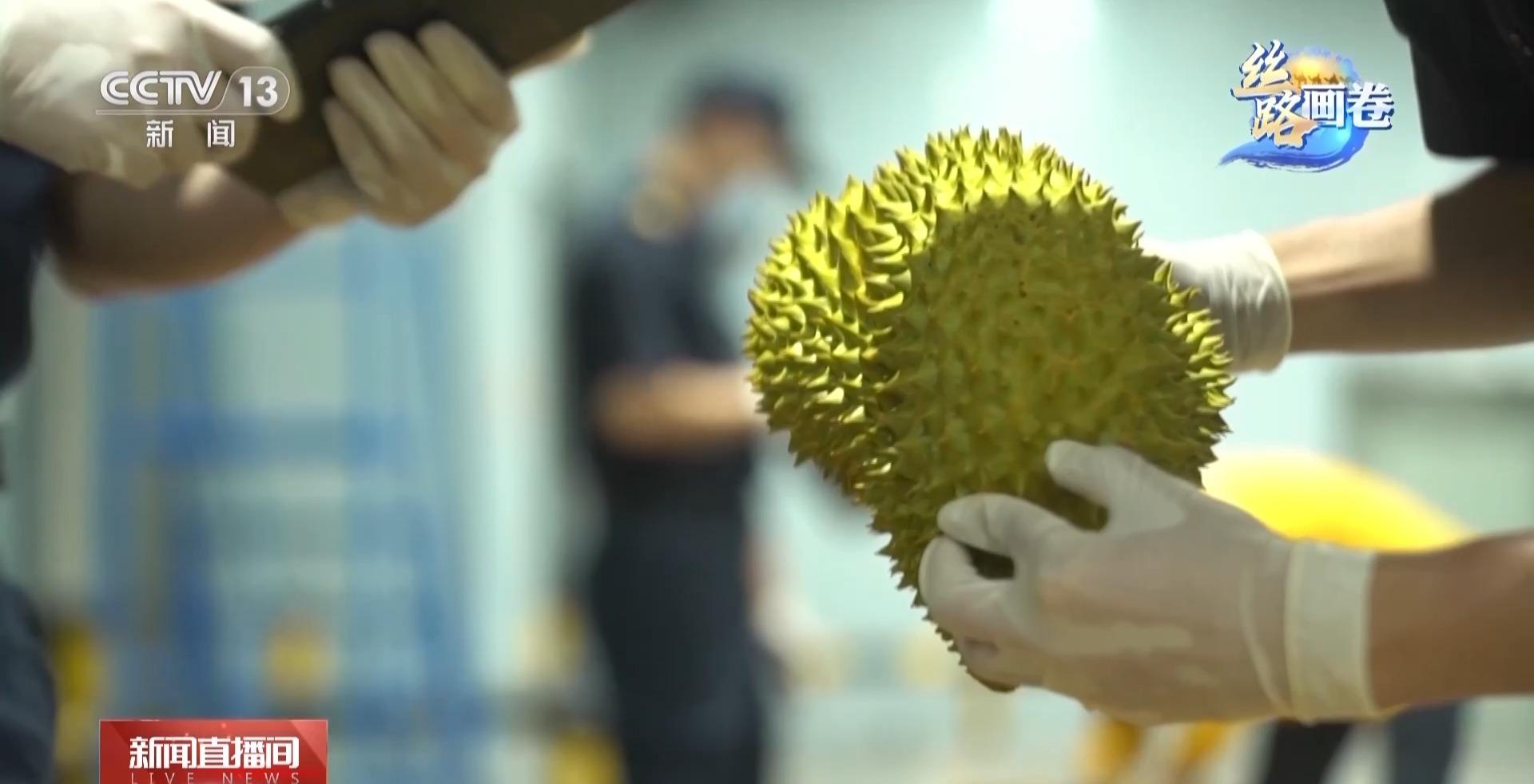 米乐 M6米乐云南磨憨：边境小镇变身国际大口岸 中老铁路跑出互利共赢“加速度”(图6)