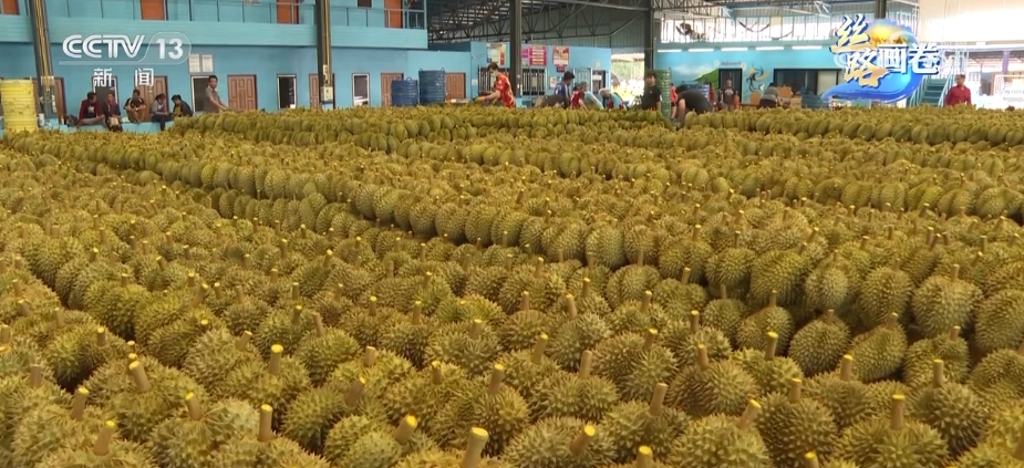 “一带一路”口岸行 中老铁路跑出互米乐M6 米乐利共赢“加速度”开启“发展路”(图3) “一带一路”口岸行 中老铁路跑出互米乐M6 米乐利共赢“加速度”开启“发展路”(图3)