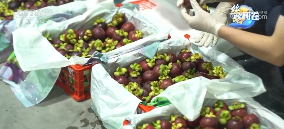 “一带一路”口岸行 中老铁路跑出互米乐M6 米乐利共赢“加速度”开启“发展路”(图5) “一带一路”口岸行 中老铁路跑出互米乐M6 米乐利共赢“加速度”开启“发展路”(图5)