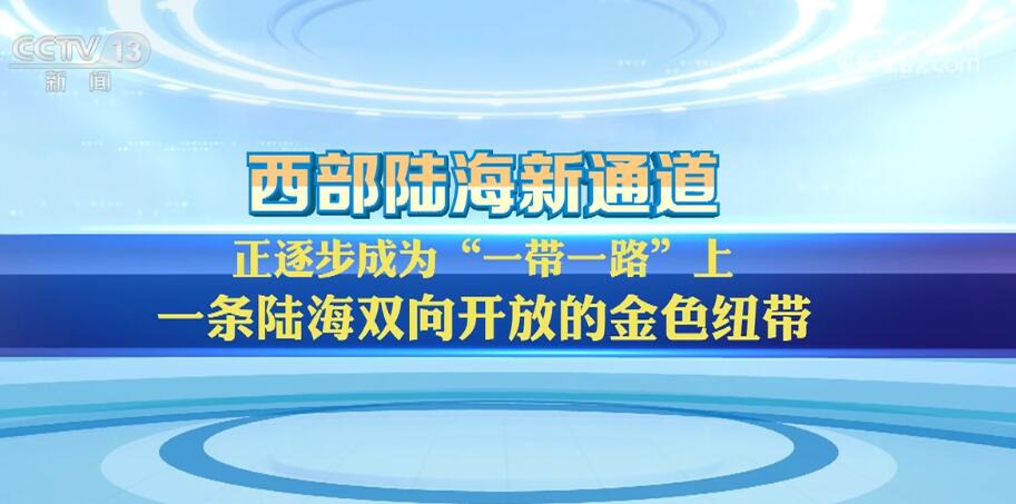 从一条米乐M6 米乐线到一张网 西部陆海新通道跑出“加速度”