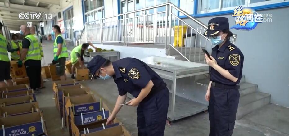 从一条米乐M6 米乐线到一张网 西部陆海新通道跑出“加速度”(图10)