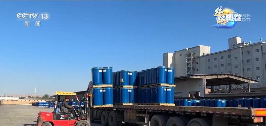 从一条米乐M6 米乐线到一张网 西部陆海新通道跑出“加速度”(图2)