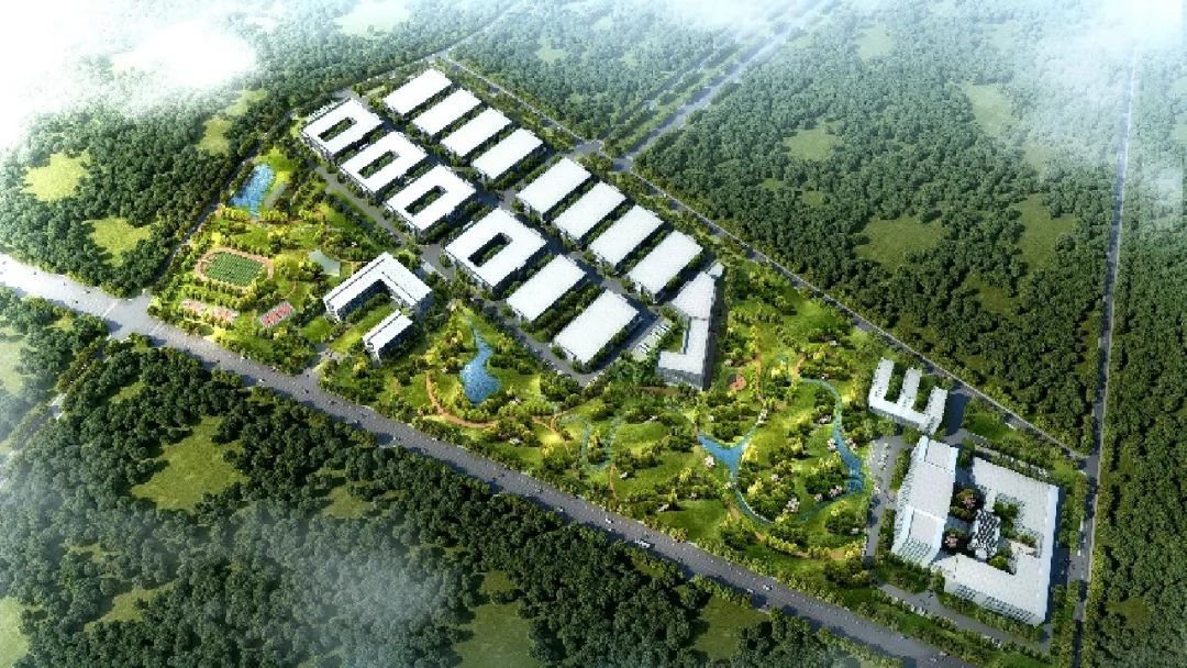 米乐M6 米乐5大总部项目签约！位置就在……(图5)