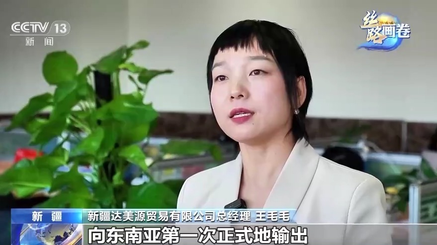 米乐 M6米乐联通“一带一路”的金色纽带 西部陆海新通道跑出“加速度”(图5)