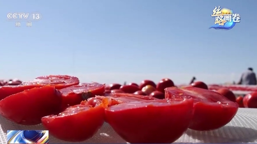 米乐 M6米乐联通“一带一路”的金色纽带 西部陆海新通道跑出“加速度”(图8)