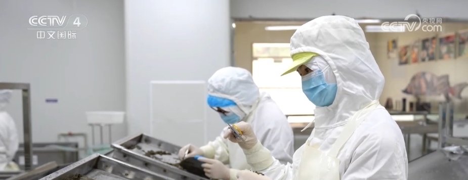 中国外贸“三稳四好”！增长实实在在 韧性强、综合竞米乐 M6米乐争力足(图7)