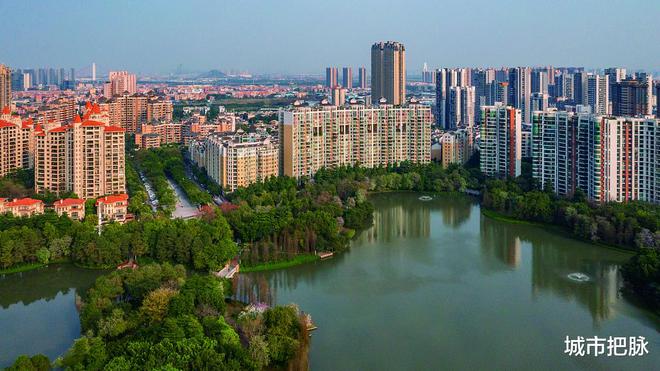 米乐 M6米乐佛山：对不起南宁我对东盟的进出口货物量更大(图2)