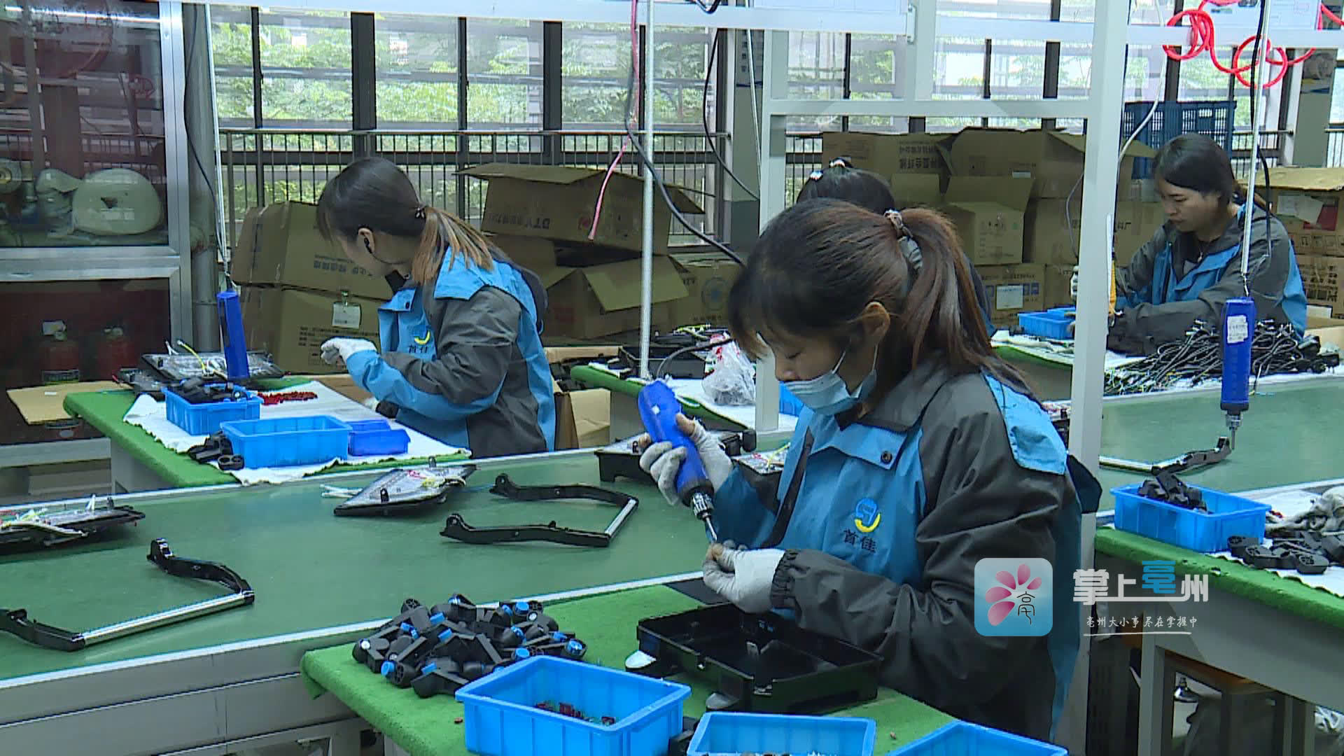 前三季度米乐M6 米乐亳州市外贸进出口值达295亿元