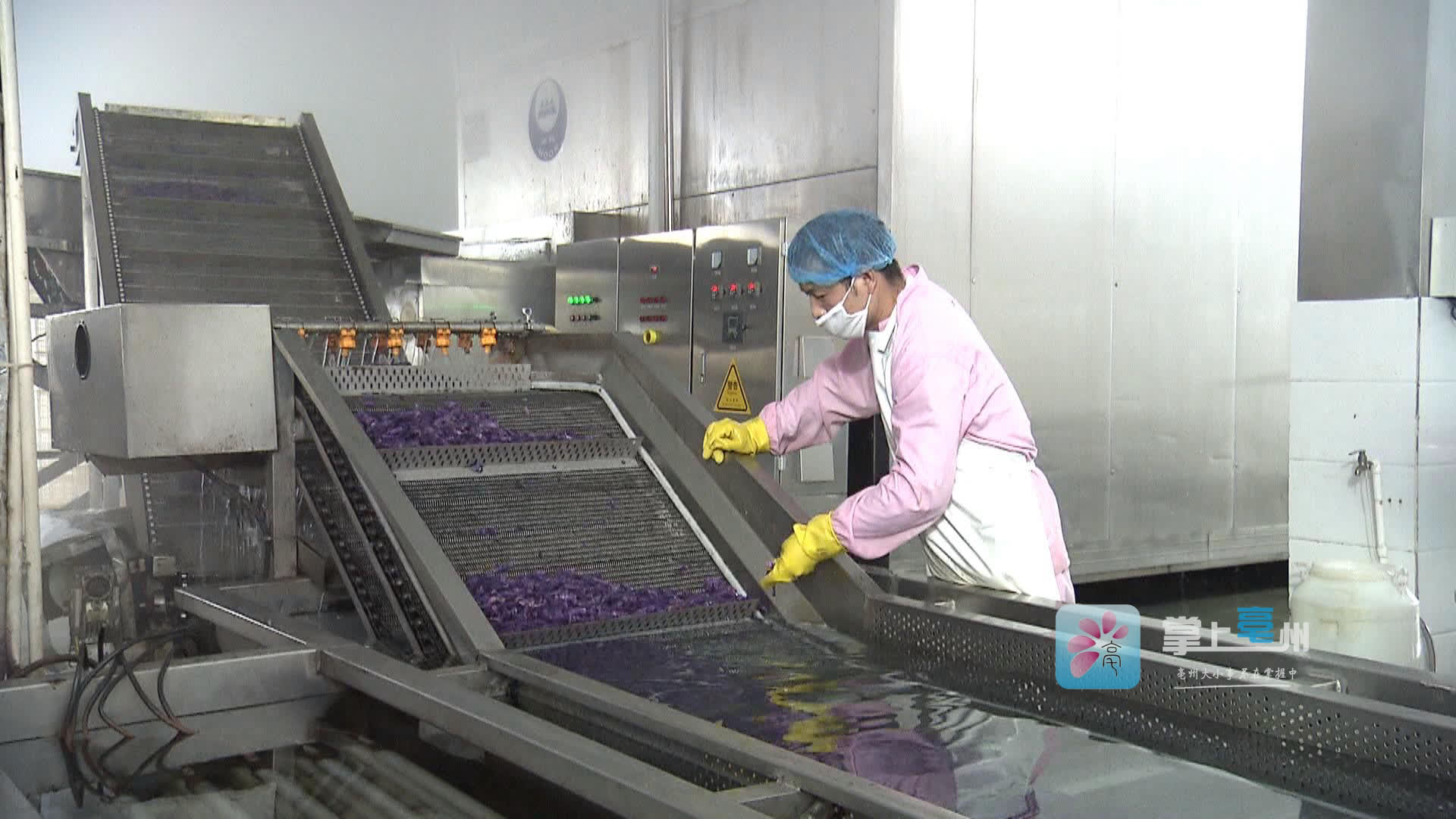 前三季度米乐M6 米乐亳州市外贸进出口值达295亿元(图2)