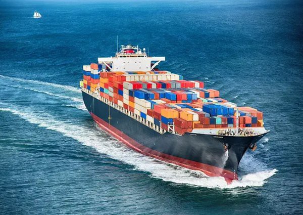 货物进出口报关内容-搜了网