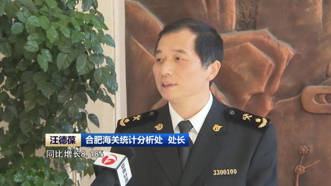 安徽省进出口挺进全国前十