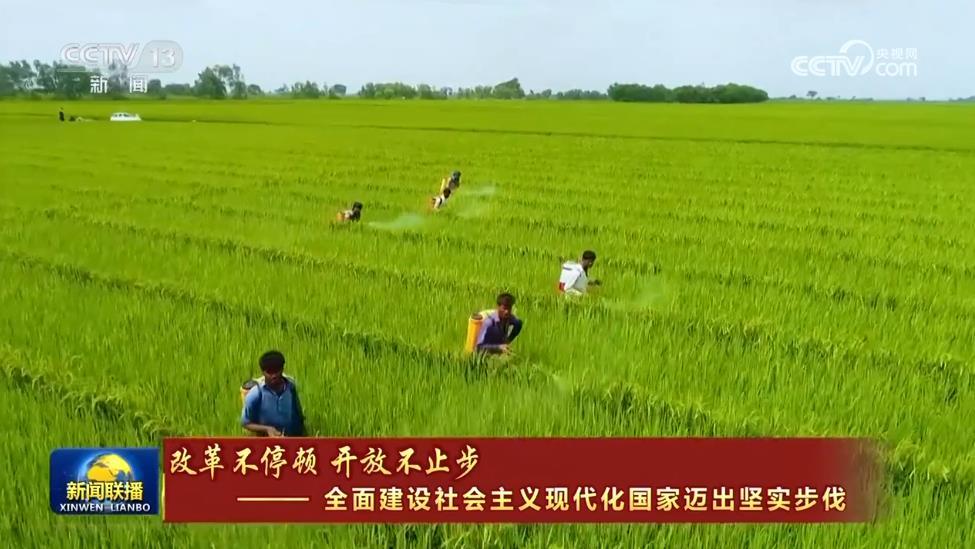 【改革不停顿 开放不止步——全面建设社会主义现代化国家迈出坚实步伐】坚持高水平对外开放 谱写中国式现代化新篇章(图3)