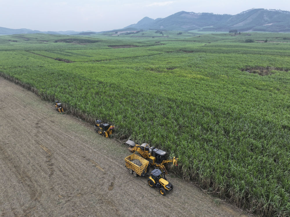 幸福的歌声 希望的田野——习考察广西纪实(图12)