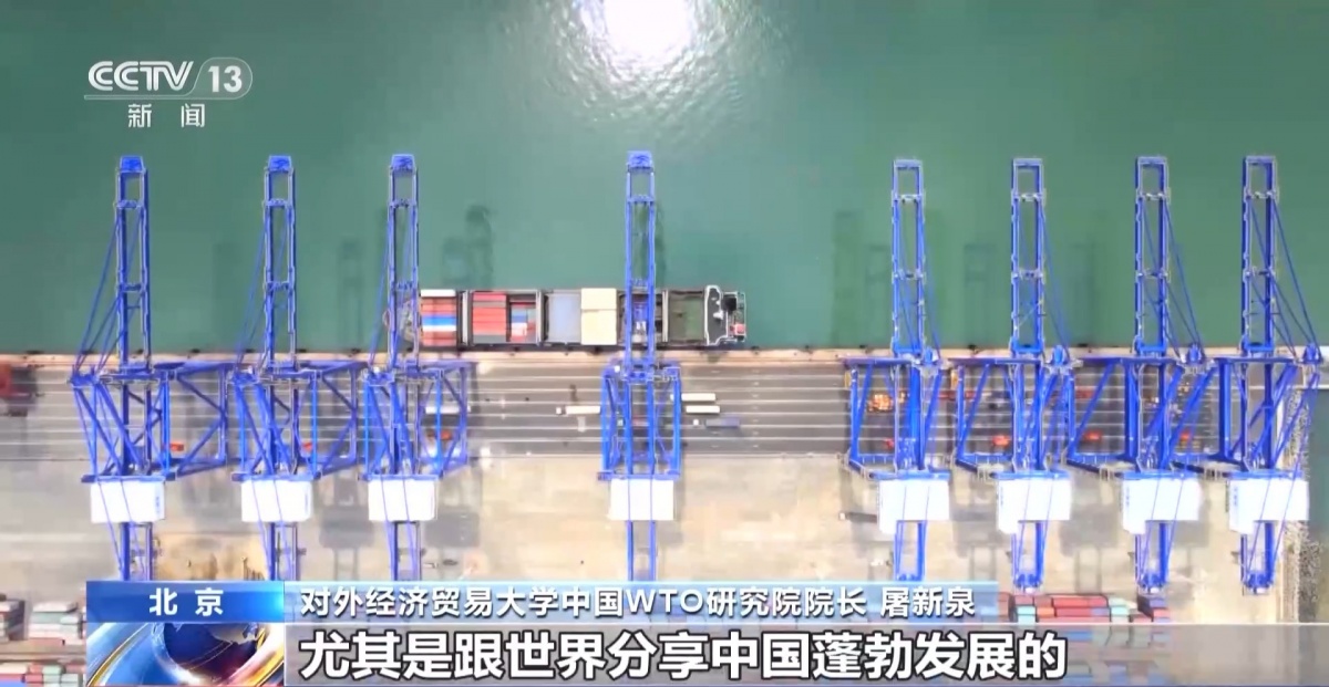 明年起我国调整部分商品进出口关税一文读懂有何含义(图4)