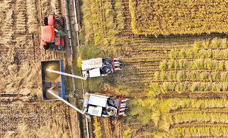 深入学习贯彻中央经济工作会议精神 狠抓落实推动高质量发展(图2)