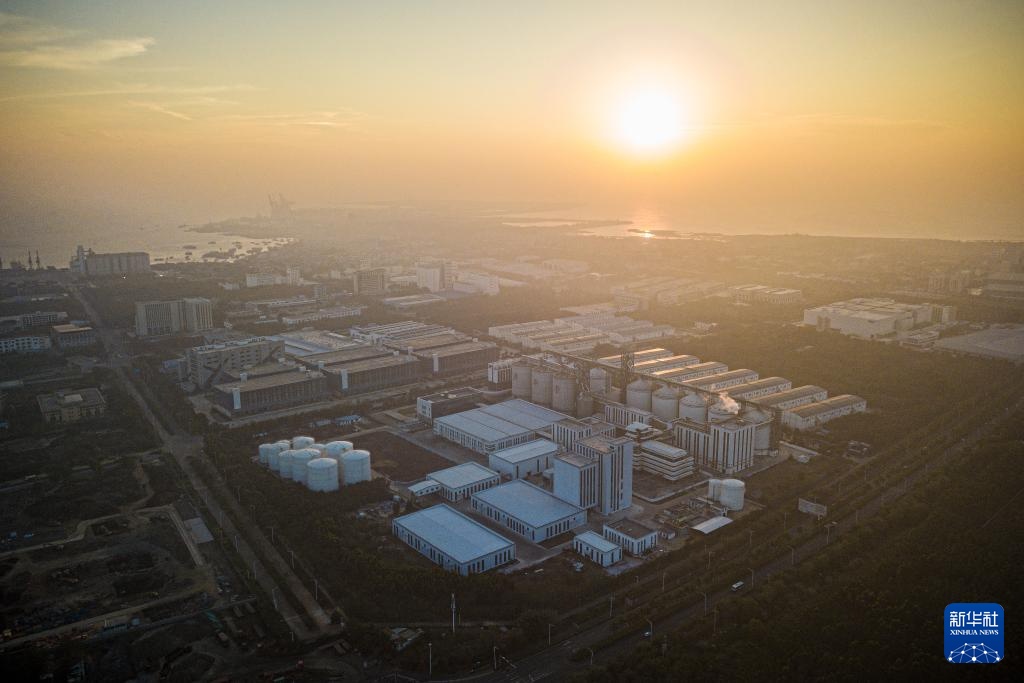 2023年海南外贸进出口规模创历史新高(图5)