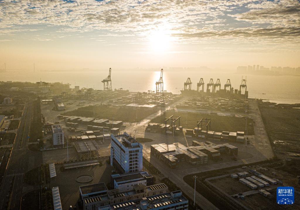 2023年海南外贸进出口规模创历史新高(图6)