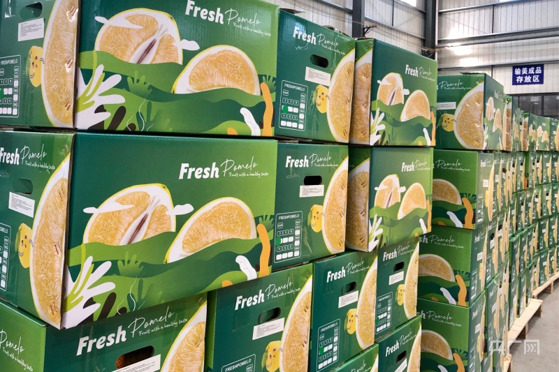 2023年漳州市进出口总值超1200亿元