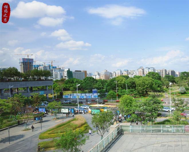 2023年各大城市进出口总额排名宁波领先广州杭州冲进前十(图3)