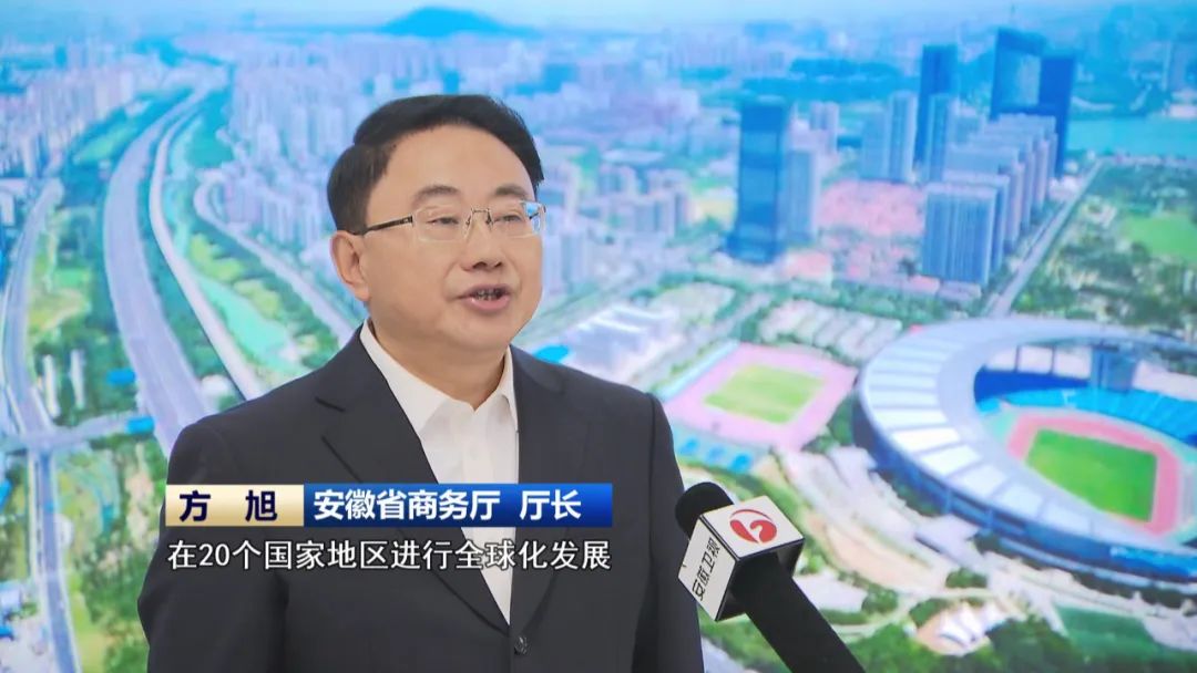 【新时代新征程新伟业·安徽实践】安徽：练好“内功” 拓展国际市场(图5)