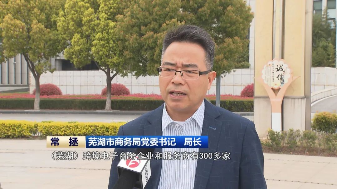 【新时代新征程新伟业·安徽实践】安徽：练好“内功” 拓展国际市场(图9)