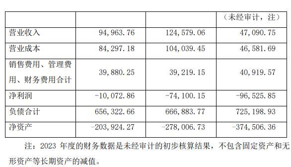 子公司计提减值后2023年业绩预减八成 辽宁成大回复监管工作