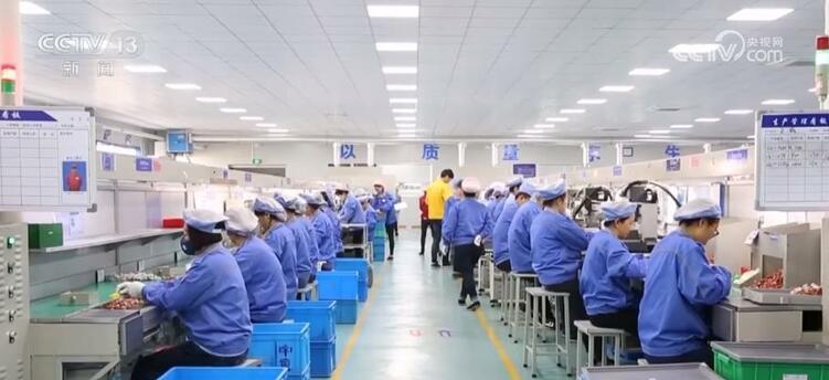 开年拼经济号角吹响 多领域释放稳开局积极信号(图2)