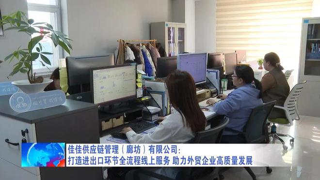廊坊广电·关注丨佳佳供应链管理（廊坊）有限公司：打造进出口环