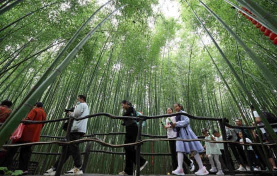 潮涌海岱大省担当6篇重磅述评详解山东牢记嘱托奋力走在前开新局(图13)