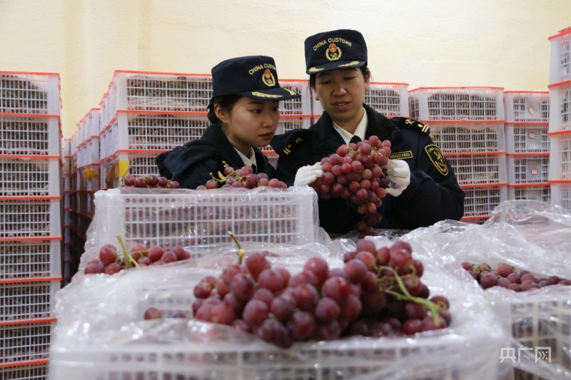 今年前2个月甘肃敦煌市外贸进出口同比增长698%