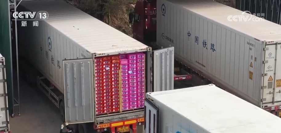 多组数据见证中国进出口“开门红” 中国经济展现澎湃动能(图2)