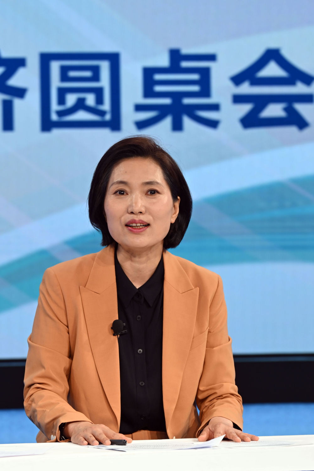 中国新能源“产能过剩论”有悖事实与常理——来自“中国经济圆桌会”的观察(图6)