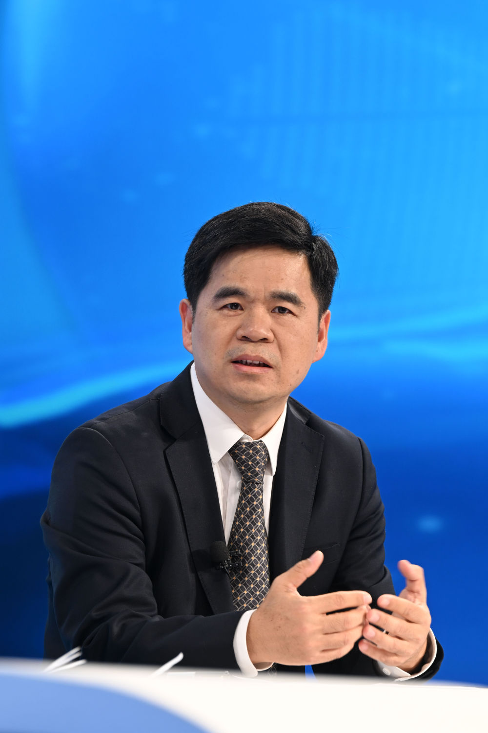 中国新能源“产能过剩论”有悖事实与常理——来自“中国经济圆桌会”的观察(图5)