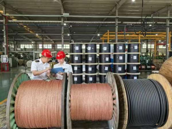 经贸合作走深走实今年前4个月上海口岸对阿盟国家进出口破千亿(图2)